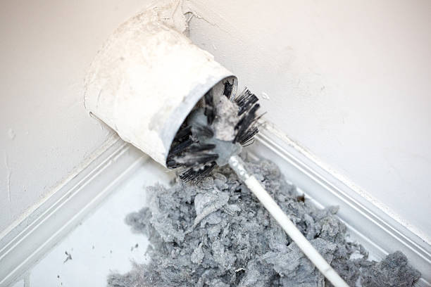 Air Duct Mold Removal in South Palm Beach, FL